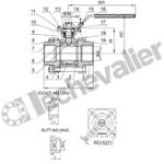 RTSIFF.3/4.3PM VANNE 1/4T FF INOX -20 à +180°C - PI - PN64 - PTFE+FV